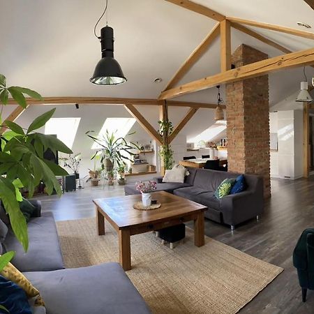 Zeromskiego Apartament Przemyśl Eksteriør billede