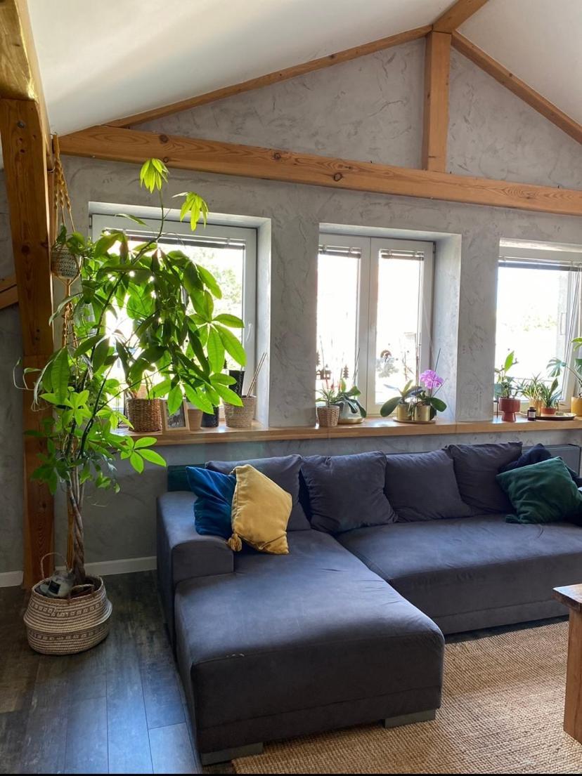 Zeromskiego Apartament Przemyśl Eksteriør billede